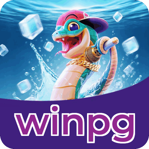 Métodos de pagamento aceitos na winpg